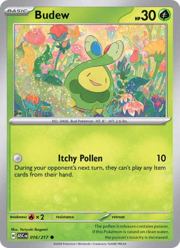 Budew Common Pokemon card #016 from Ascended Heroes
