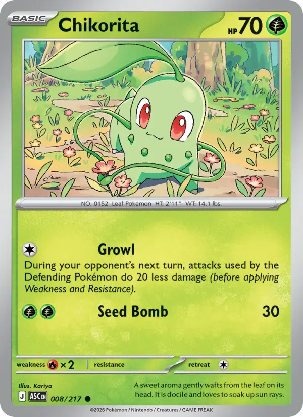 Chikorita Common Pokemon card #008 from Ascended Heroes