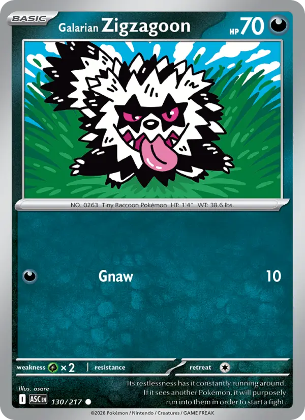 Galarian Zigzagoon Common Pokemon card #130 from Ascended Heroes