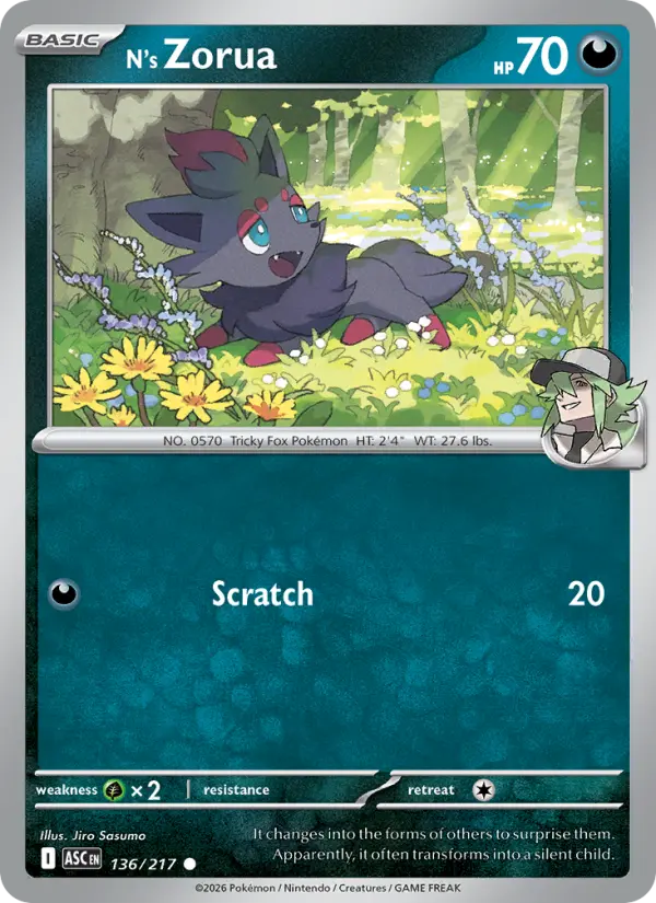 N's Zorua Common Pokemon card #136 from Ascended Heroes