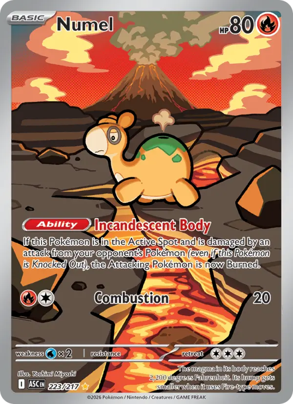 Numel Illustration rare Pokemon card #223 from Ascended Heroes
