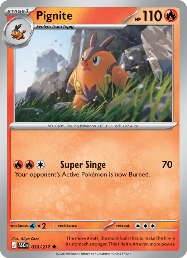 Aliya Chen Pokemon card artwork
