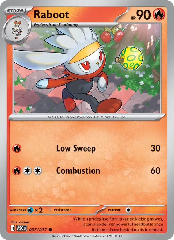 Raboot Common Pokemon card #037 from Ascended Heroes