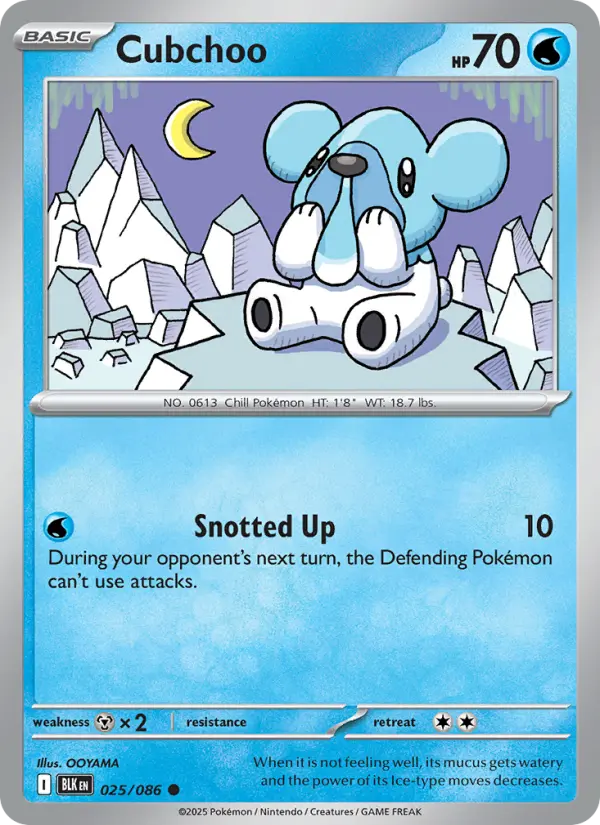 Cubchoo Common Pokemon card #025 from Black Bolt