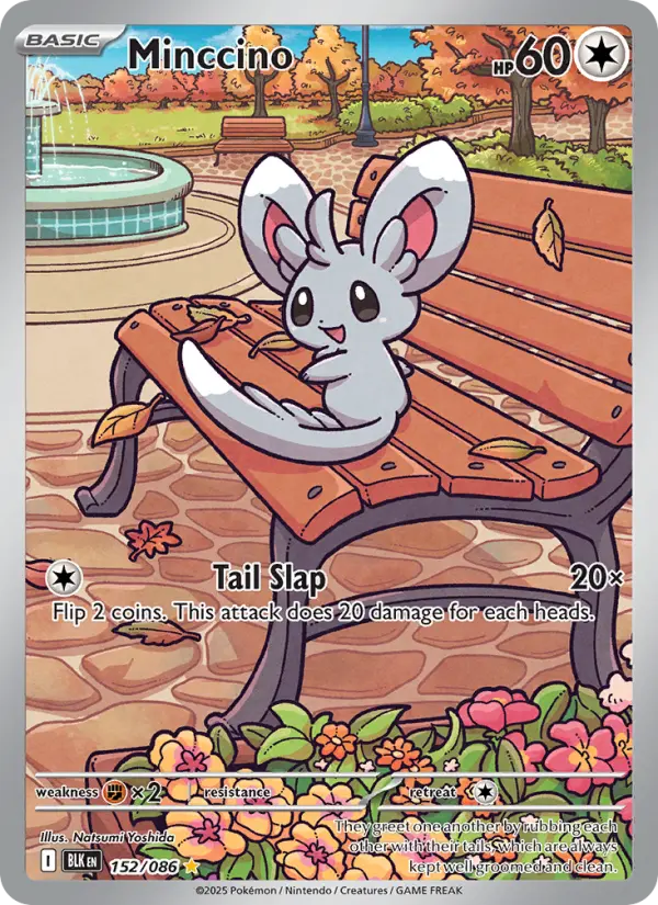 Minccino Illustration rare Pokemon card #152 from Black Bolt