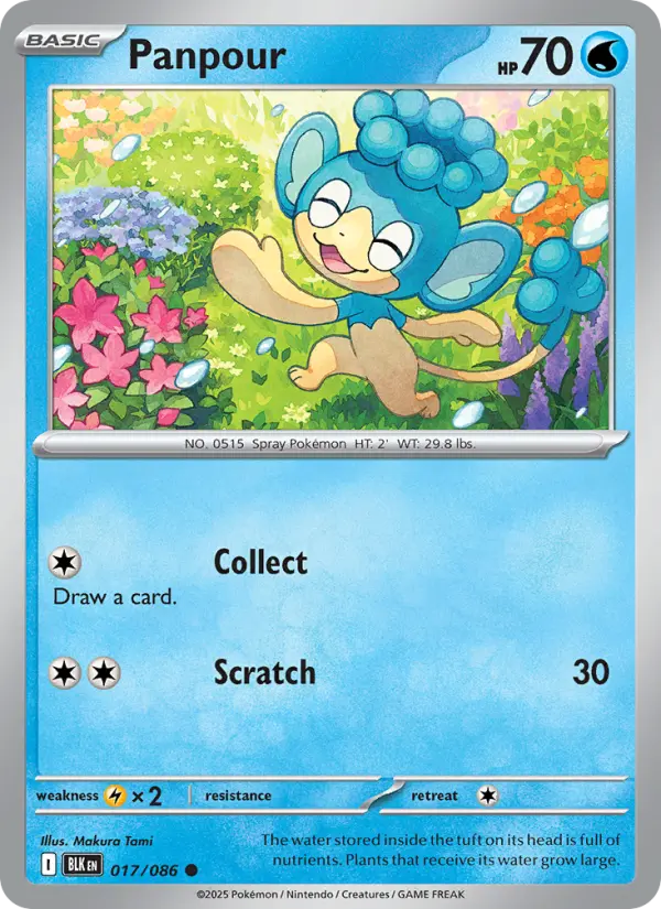 Panpour Common Pokemon card #017 from Black Bolt