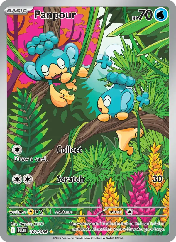 Hoshino KURO Pokemon card artwork