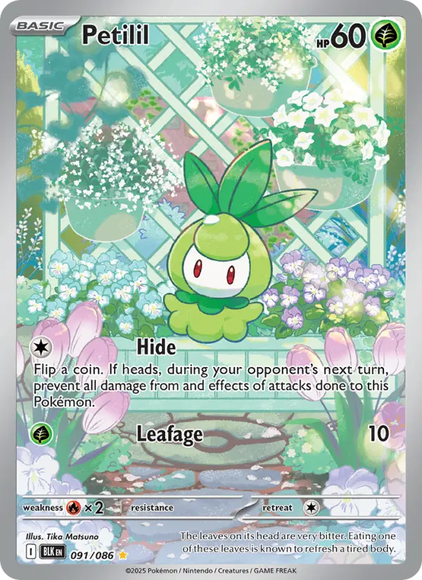 Petilil Illustration rare Pokemon card #091 from Black Bolt