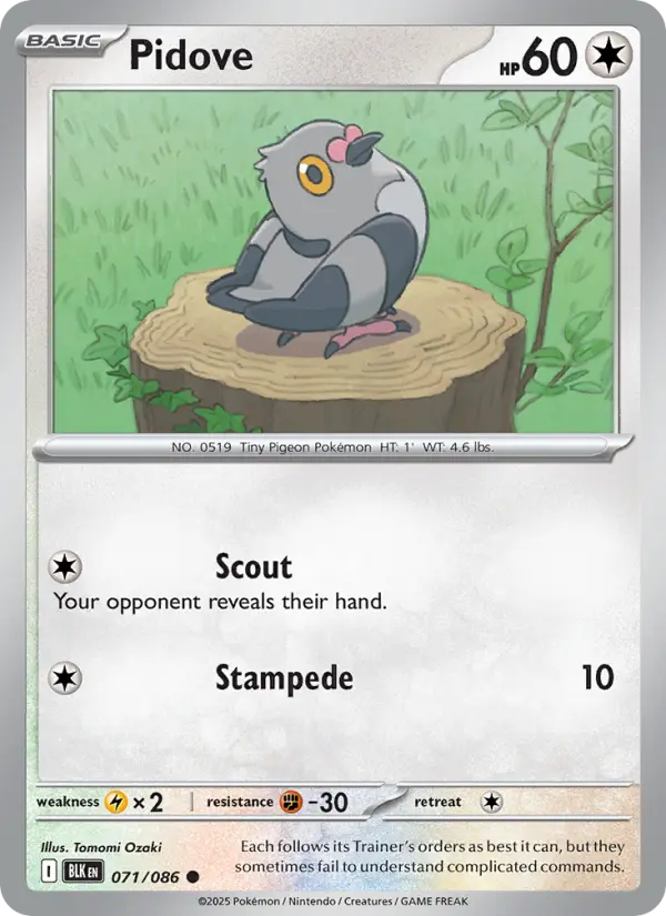 Pidove Common Pokemon card #071 from Black Bolt