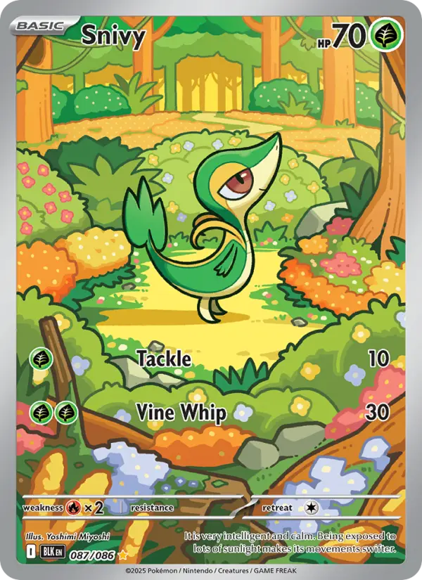 Snivy Illustration rare Pokemon card #087 from Black Bolt