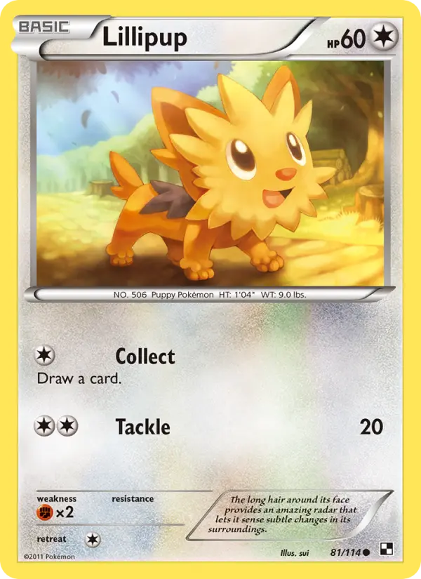 Lillipup Common Pokemon card #81 from Black & White