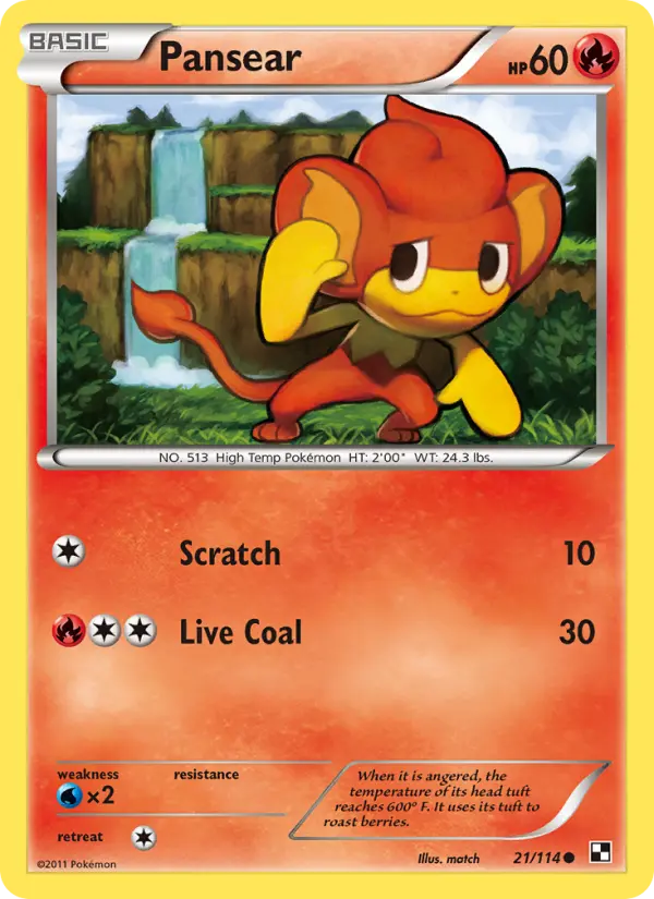 Pansear Common Pokemon card #21 from Black & White