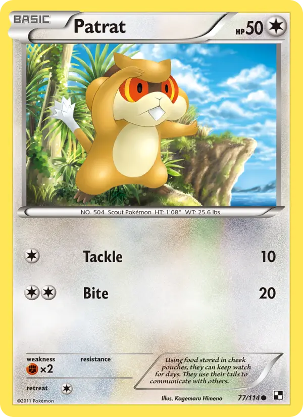 Patrat Common Pokemon card #77 from Black & White