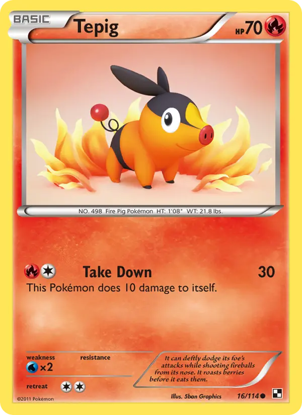 Tepig Common Pokemon card #16 from Black & White