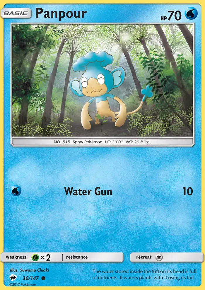 Panpour Common Pokemon card #36 from Burning Shadows