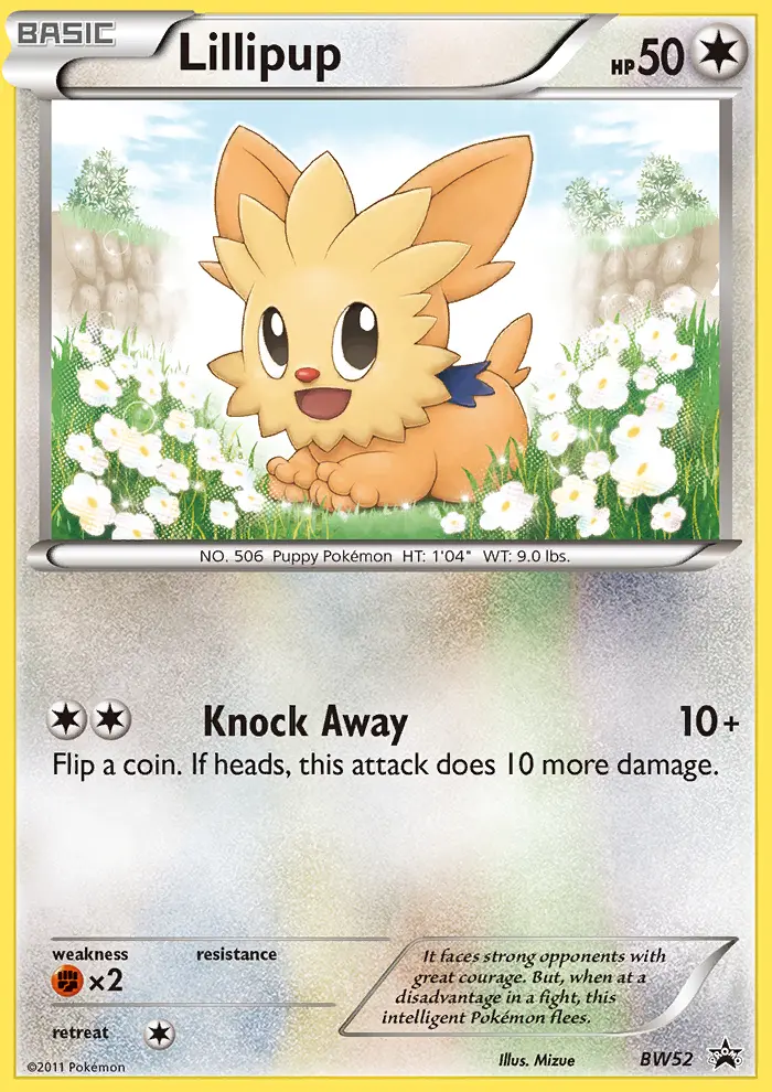 Lillipup Common Pokemon card #BW52 from BW Black Star Promos