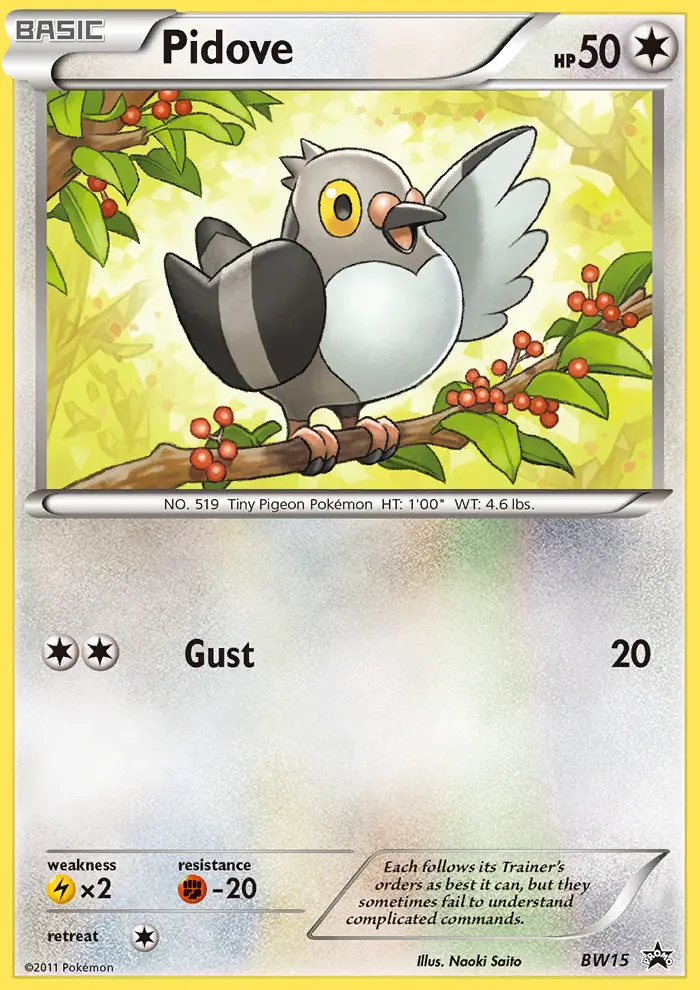 Pidove Common Pokemon card #BW15 from BW Black Star Promos