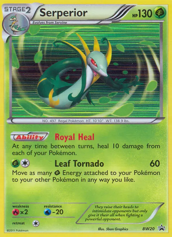 Serperior Rare Pokemon card #BW20 from BW Black Star Promos