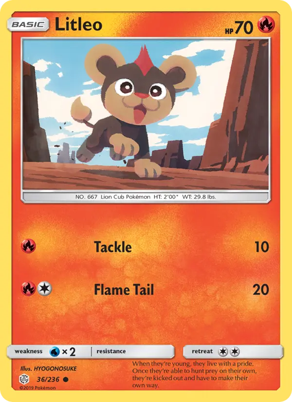 Litleo Common Pokemon card #36 from Cosmic Eclipse