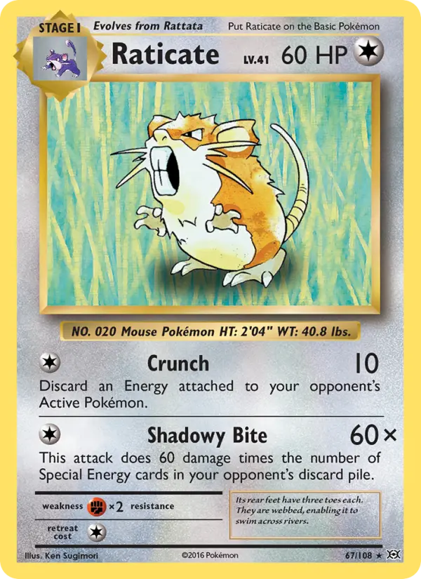 Raticate Rare Pokemon card #67 from Evolutions