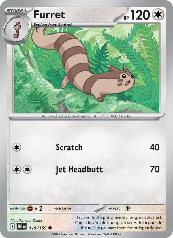 Furret Pokemon card artwork