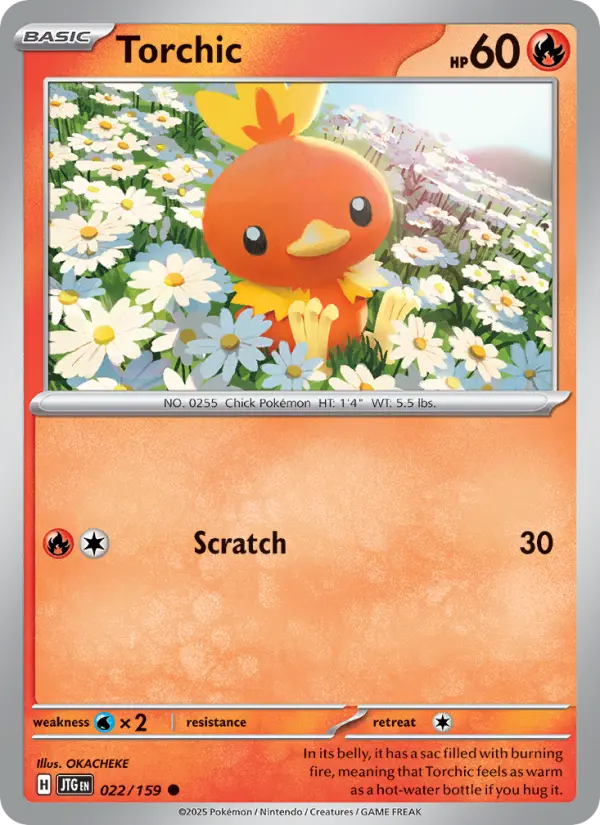 Torchic Common Pokemon card #022 from Journey Together
