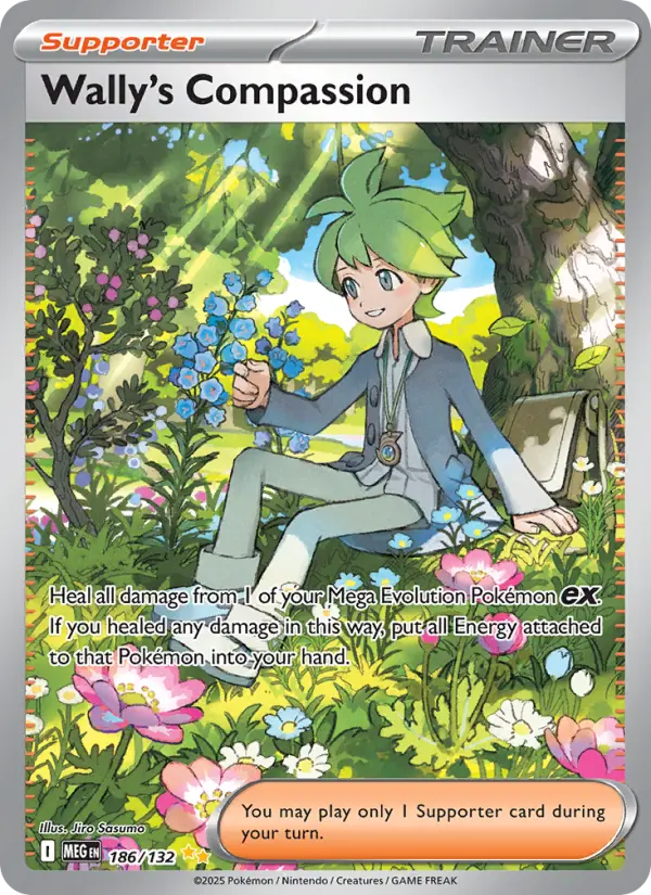Wally's Compassion Special illustration rare Pokemon card #186 from Mega Evolution
