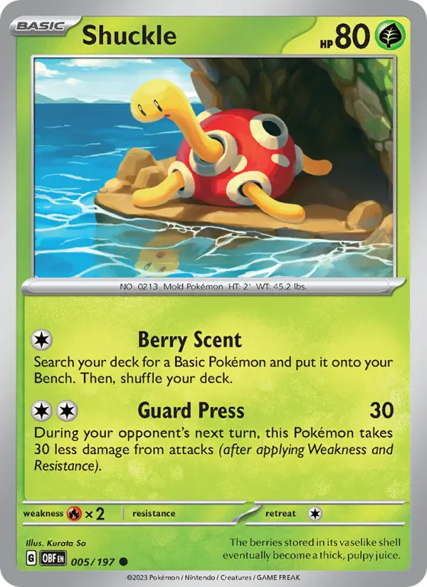 Shuckle Common Pokemon card #005 from Obsidian Flames