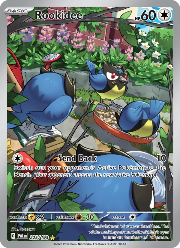 Rookidee Illustration rare Pokemon card #225 from Paldea Evolved