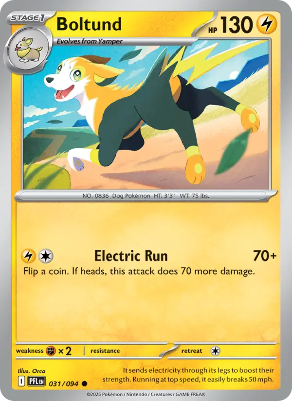 Boltund Common Pokemon card #031 from Phantasmal Flames