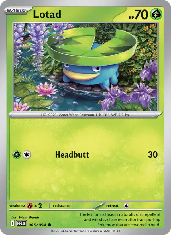 Lotad Common Pokemon card #005 from Phantasmal Flames