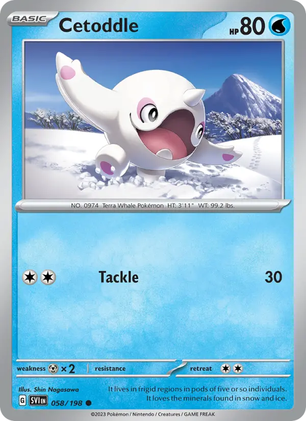 Cetoddle Common Pokemon card #058 from Scarlet & Violet