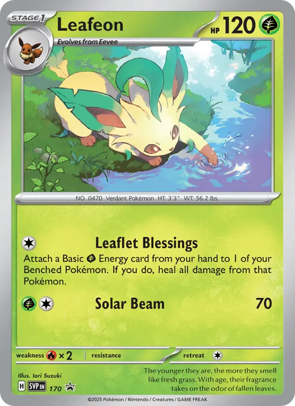 Leafeon None Pokemon card #170 from SVP Black Star Promos