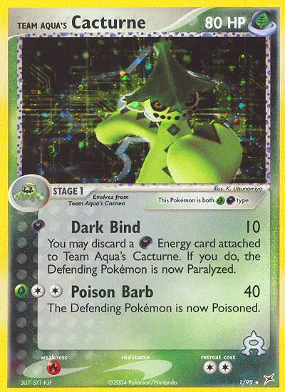 Team Magma vs Team Aqua representative card artwork