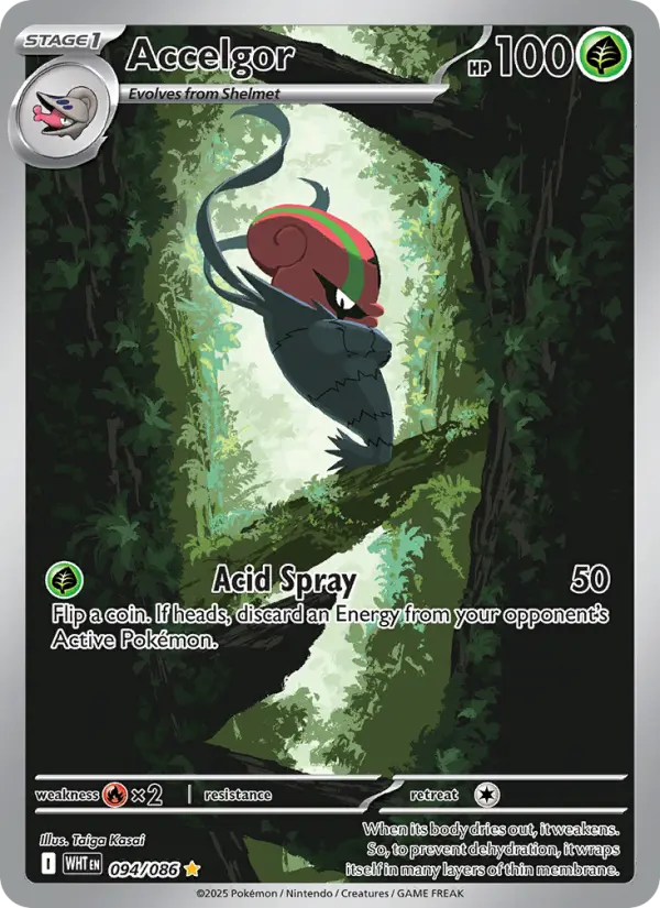 Accelgor Illustration rare Pokemon card #094 from White Flare