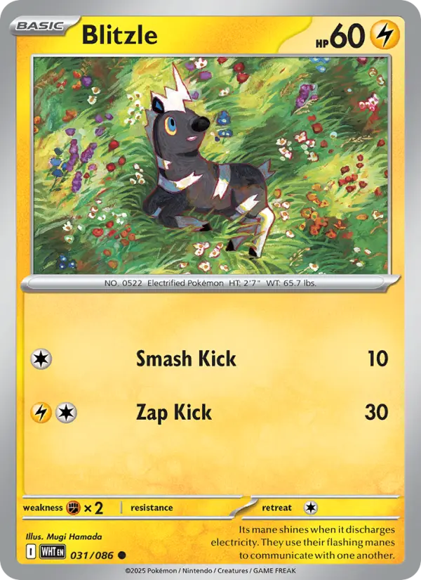 Blitzle Common Pokemon card #031 from White Flare