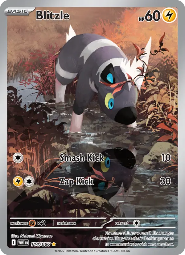 Blitzle Illustration rare Pokemon card #114 from White Flare