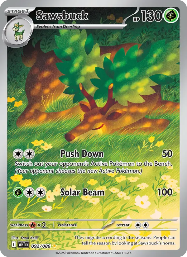 Sawsbuck Illustration rare Pokemon card #092 from White Flare