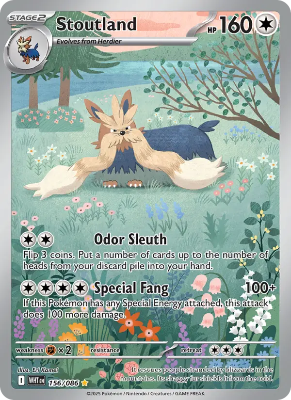 Stoutland Illustration rare Pokemon card #156 from White Flare