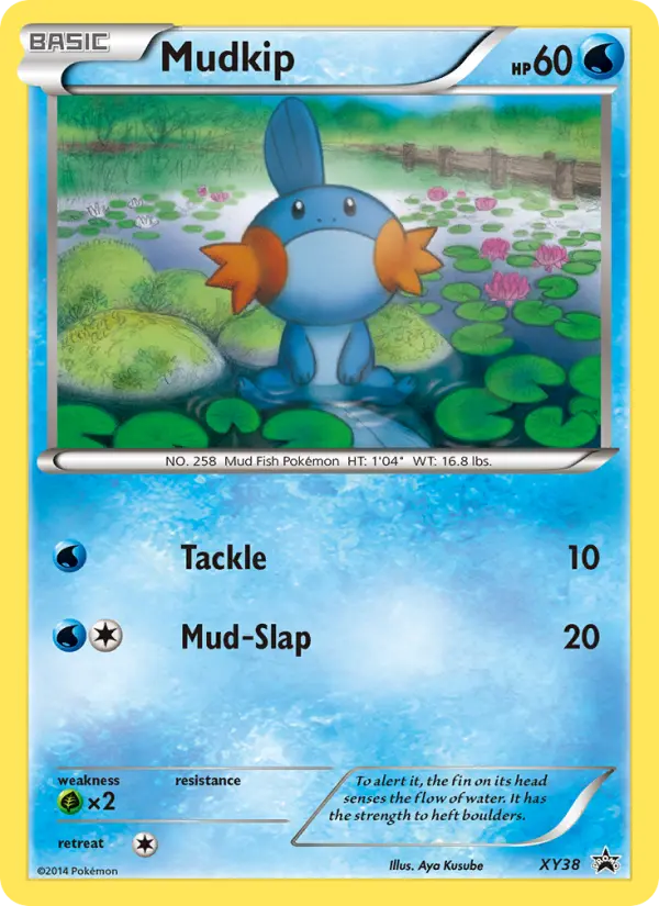 Mudkip None Pokemon card #XY38 from XY Black Star Promos