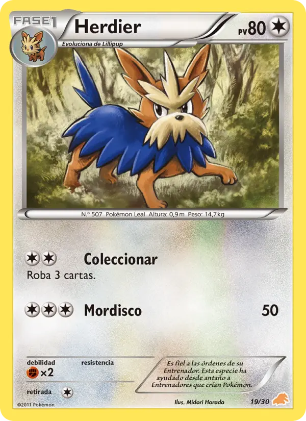 Herdier None Pokemon card #19 from BW trainer Kit (Excadrill)
