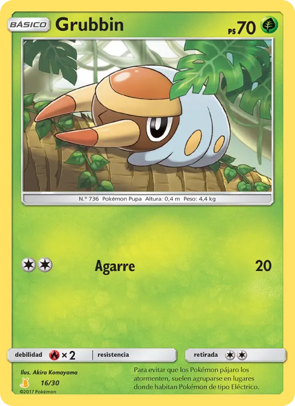 Grubbin Common Pokemon card #16 from SM trainer Kit (Alolan Raichu)