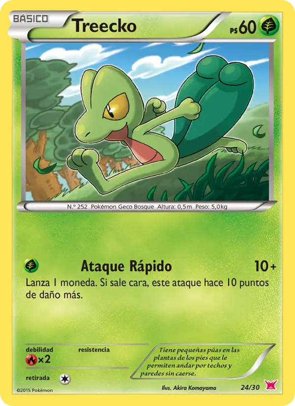 Treecko Common Pokemon card #24 from XY trainer Kit (Latias)