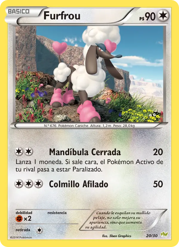 Furfrou Common Pokemon card #20 from XY trainer Kit (Noivern)