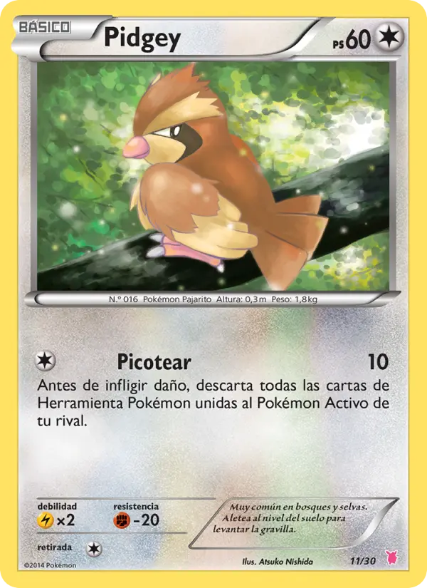 Pidgey Common Pokemon card #11 from XY trainer Kit (Wigglytuff)