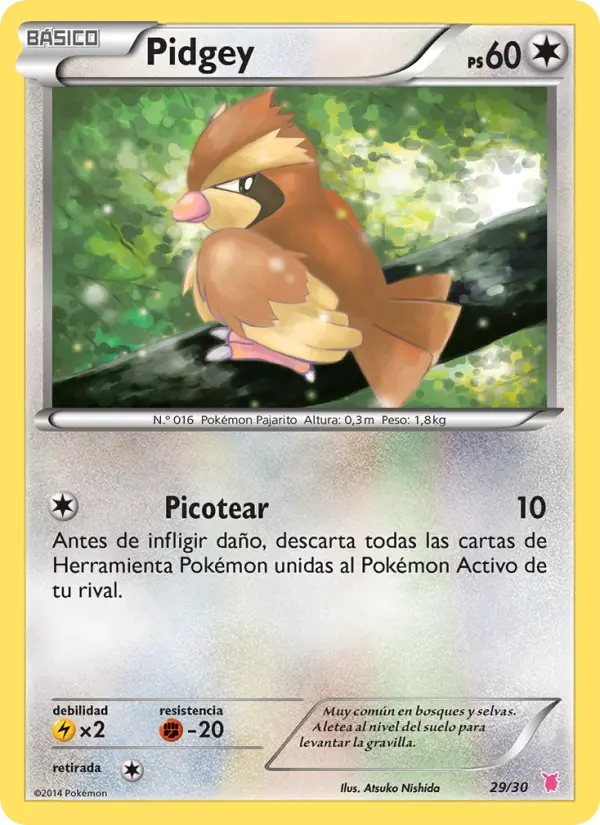Pidgey Common Pokemon card #29 from XY trainer Kit (Wigglytuff)